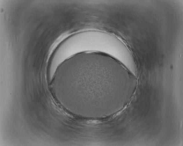 X0000085280152200703231816