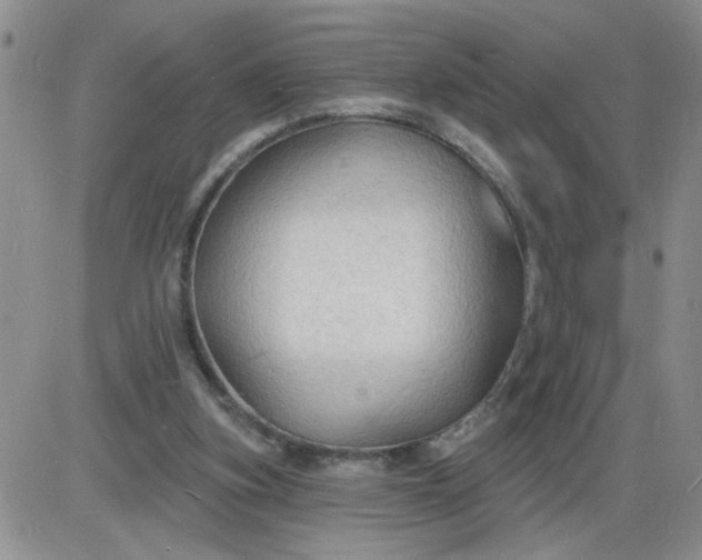 X0000085280155200703231816