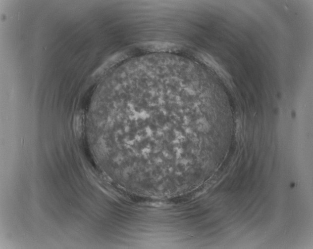 X0000085280165200703231816