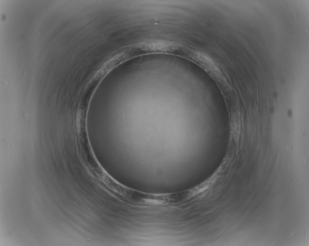 X0000085280167200703231816