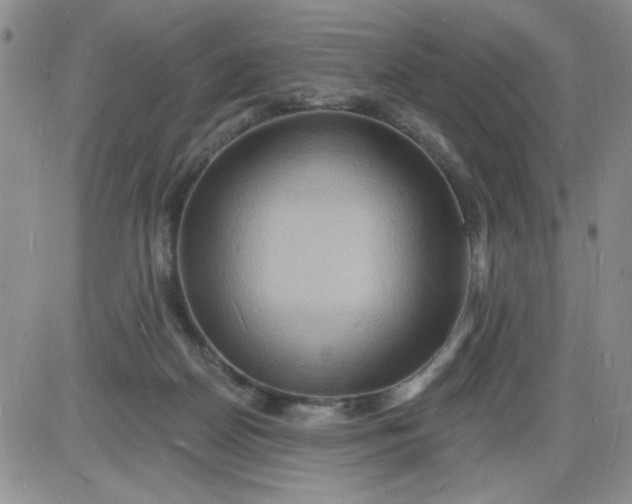X0000085280170200703231816