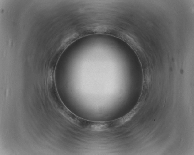 X0000085280172200703231816