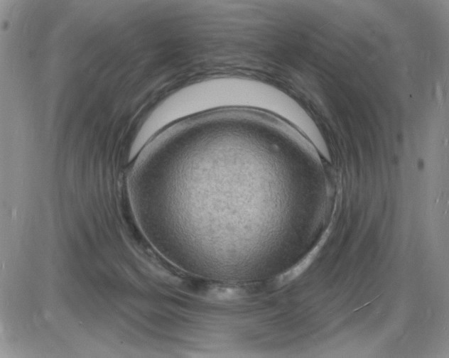 X0000085280174200703231816
