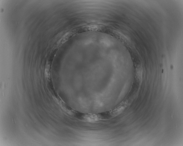 X0000085280181200703231816