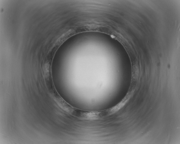 X0000085280184200703231816