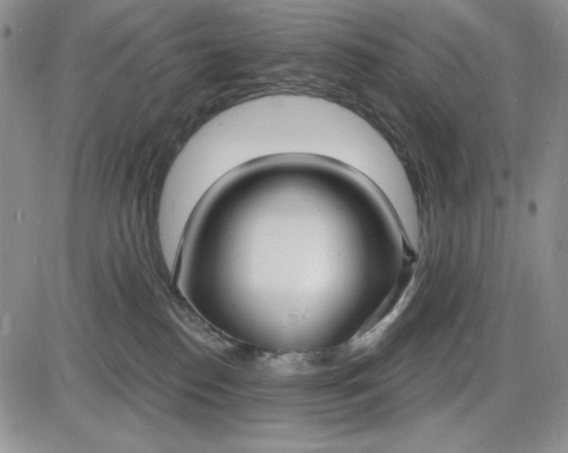 X0000085280186200703231816