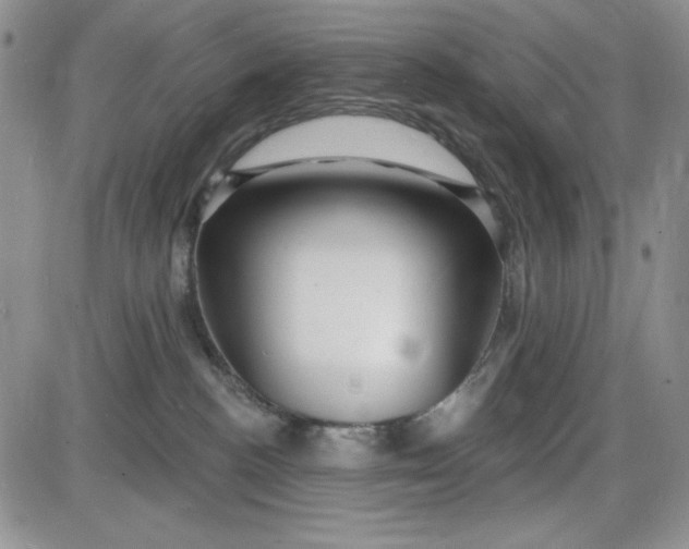 X0000085280188200703231816