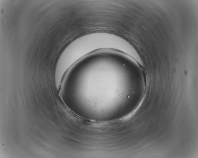 X0000085280190200703231816