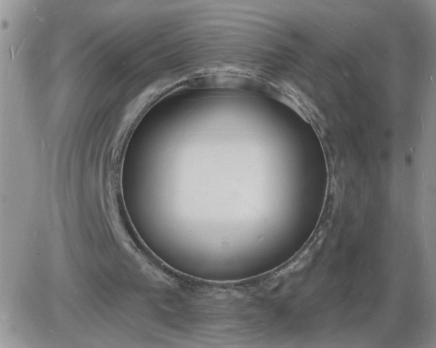 X0000085280193200703231816