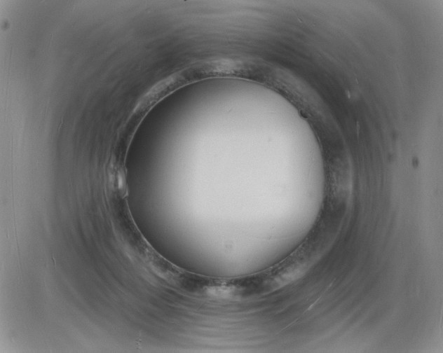X0000085280216200703231815