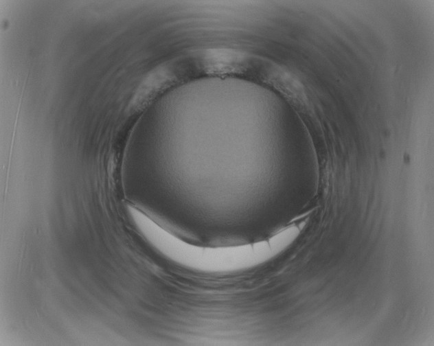 X0000085280219200703231815