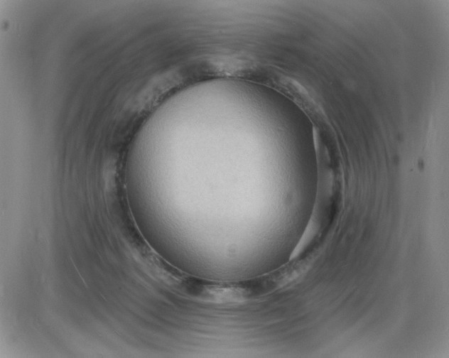 X0000085280221200703231815