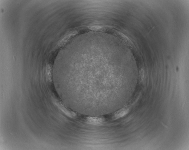 X0000085280234200703231815