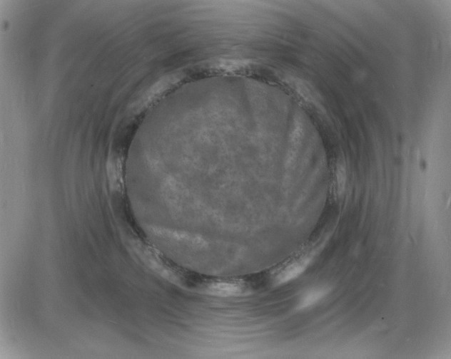 X0000085280236200703231815
