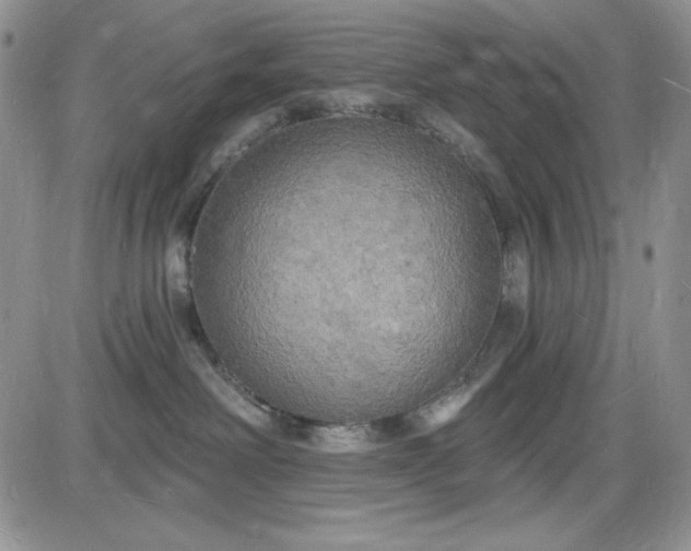 X0000085280238200703231815