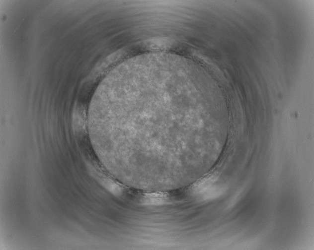 X0000085280240200703231815