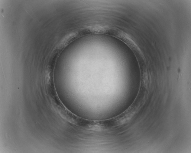 X0000085280259200703231814