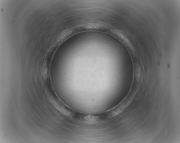 X0000085280261200703231814