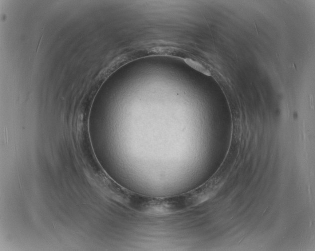 X0000085280263200703231814
