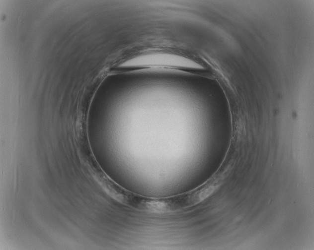 X0000085280265200703231815