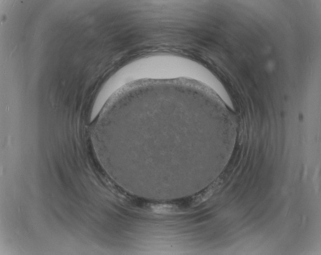 X0000085280268200703231815