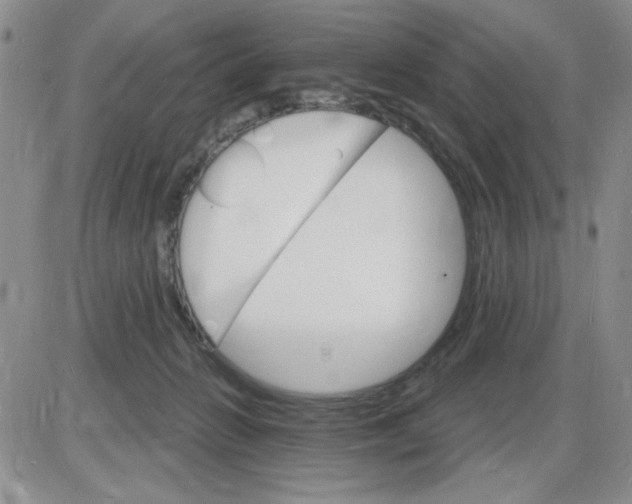 X0000085280270200703231815