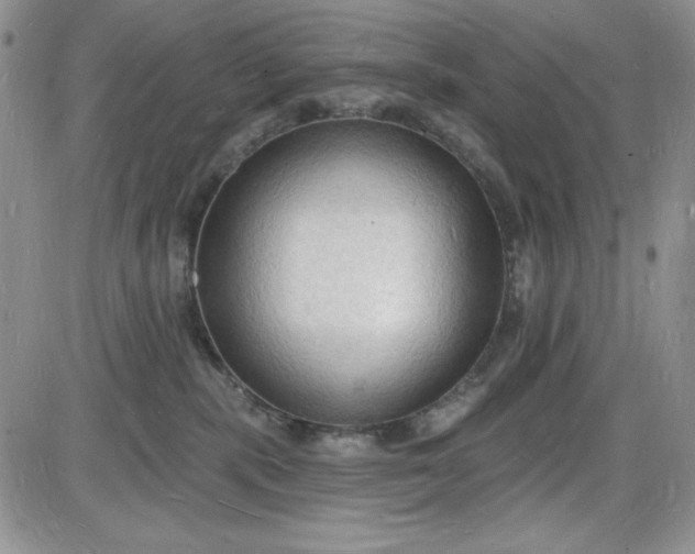 X0000085280283200703231815