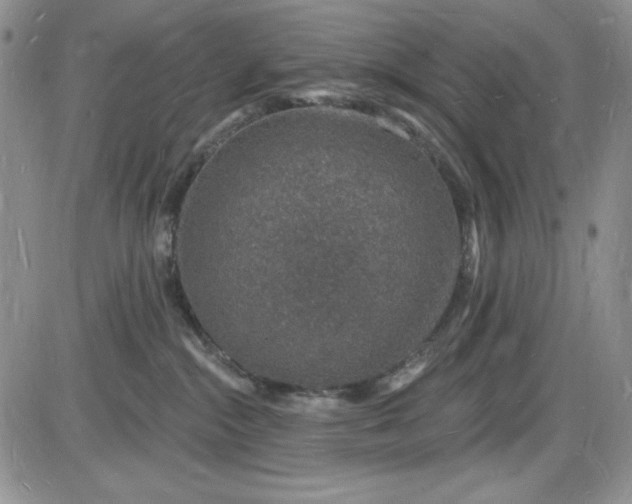 X0000085280284200703231815