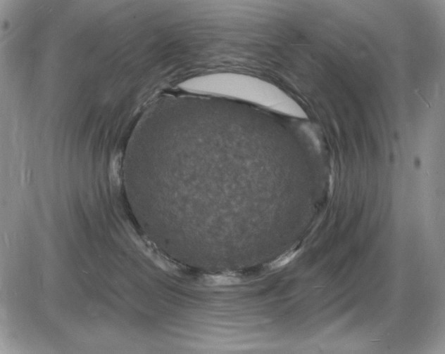 X0000085280286200703231815
