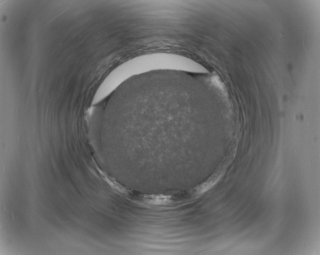 X0000085280288200703231815