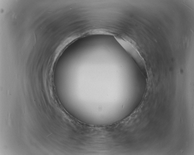 X0000085280289200703231814