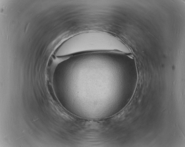 X0000085280290200703231814