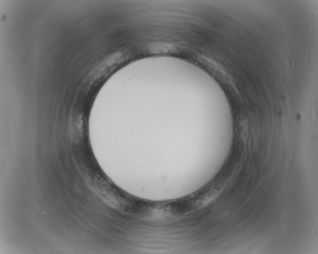 X0000085280308200703231814