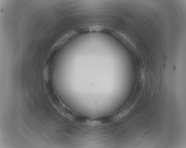 X0000085280311200703231814