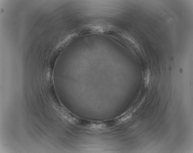 X0000085280314200703231814