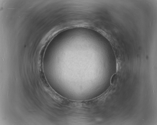 X0000085280339200703231813
