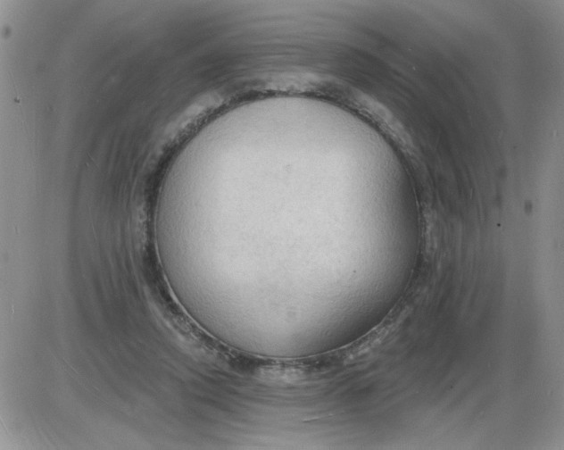 X0000085280354200703231813