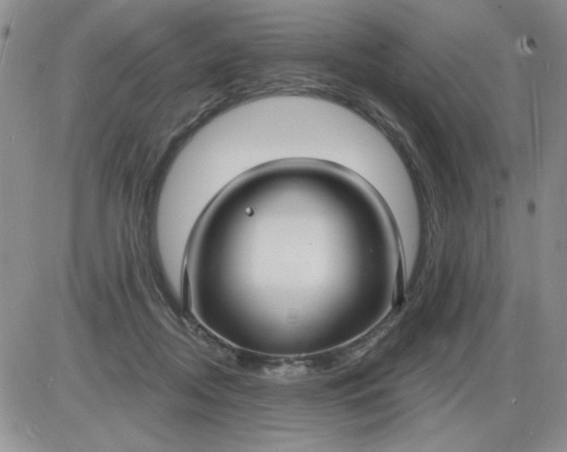 X0000085280362200703231813
