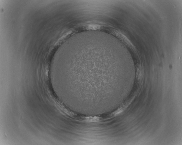 X0000085280363200703231813