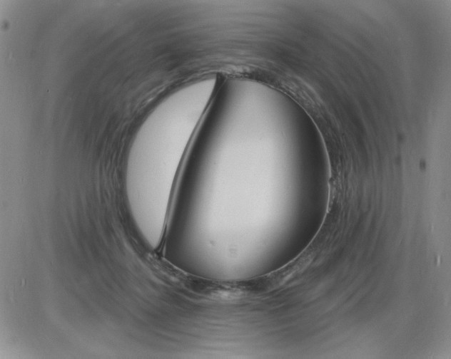 X0000085280364200703231813