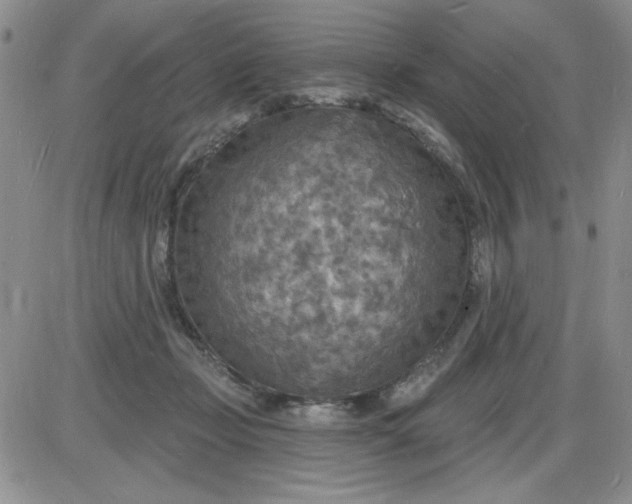 X0000085280365200703231813