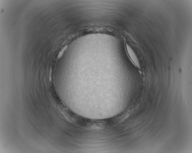 X0000085280368200703231813