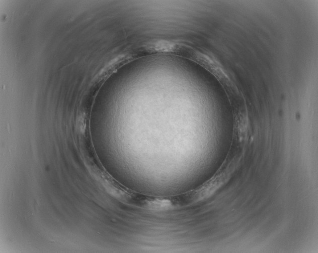 X0000085280374200703231813