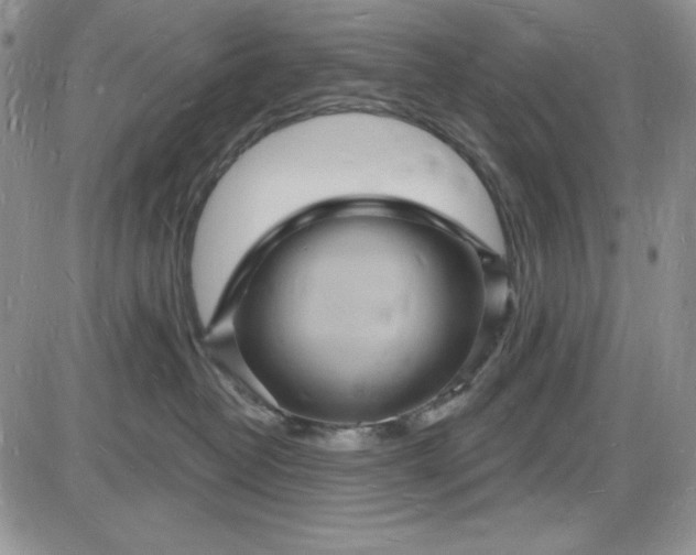 X0000085280382200703231813