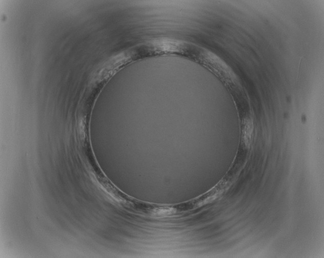 X0000085280410200703231812