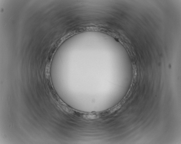 X0000085280419200703231812