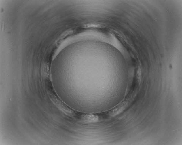 X0000085280421200703231812