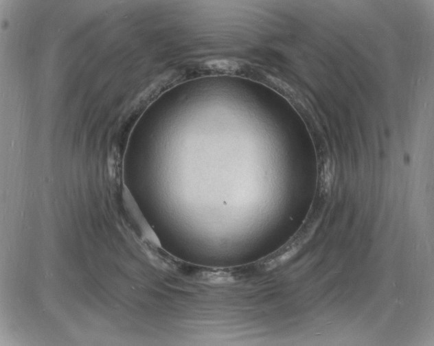 X0000085280424200703231812