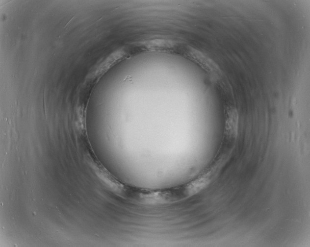 X0000085280430200703231812