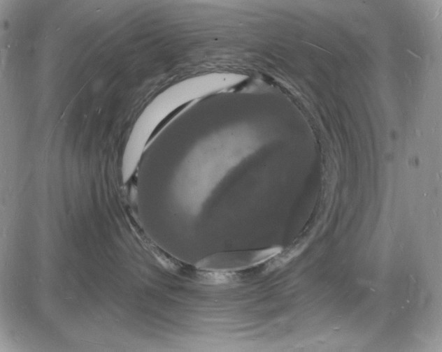 X0000085280432200703231812
